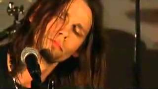 Alter Bridge - Hallelujah (Aco...