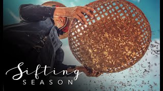 Sifting Season | The Turn Church | 1.4.2026