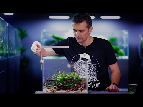 Video: Nápady na dizajn Aquascape: Rôzne typy Aquascapes