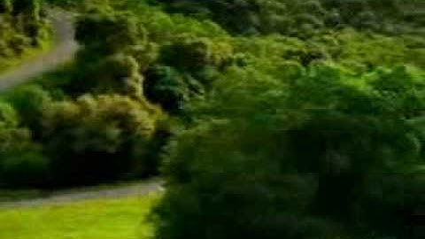 4shared com   file sharing   download movie file   O Susto 3gp