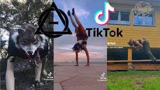 Therian and Quadrobics TikToks || Compilation 🐾🍂 || Alterhumans of TikTok #41