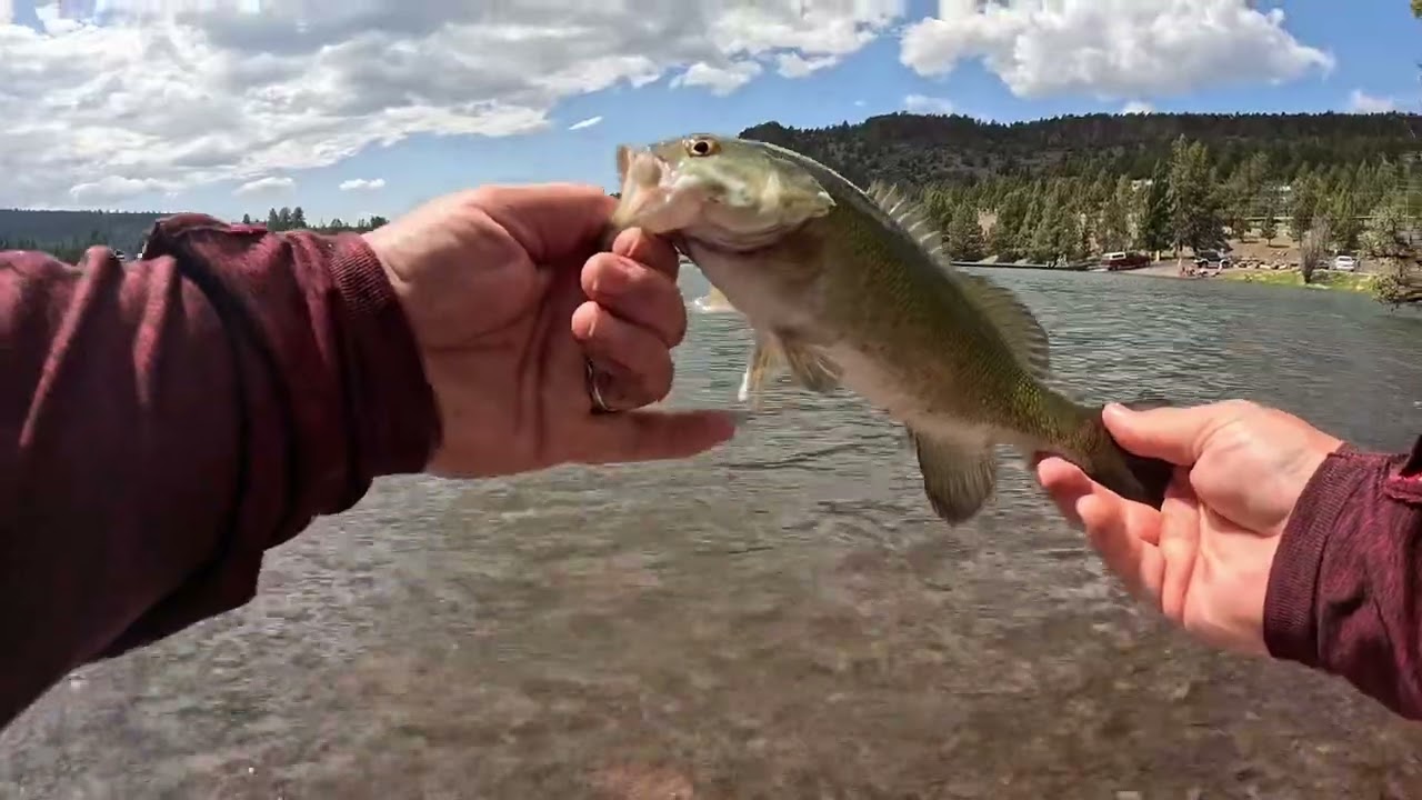 Smallmouth bass fishing Ochoco reservoir