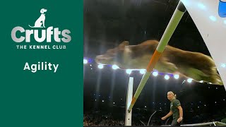 Agility  International Invitation  Large Agility Finals | Crufts 2023