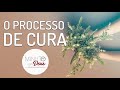 O PROCESSO DE CURA