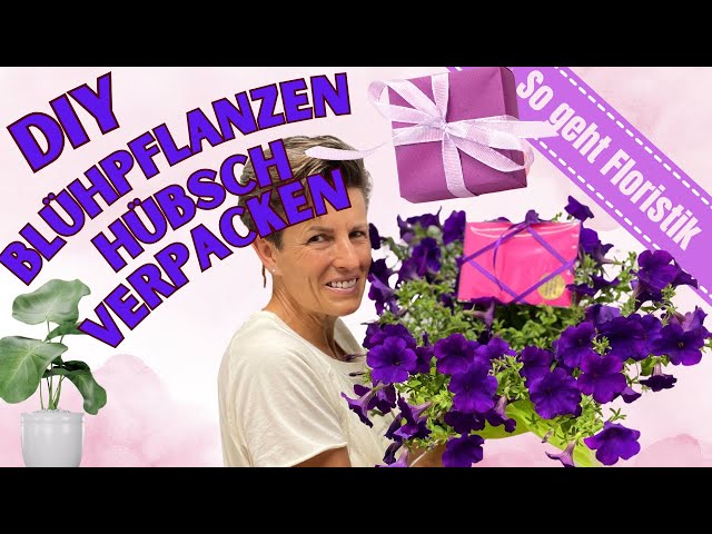 kunststoff weihnachtsstern beleuchtet 3D Außen Leuchtstern Ø 60cm Weiß 6 LED Beleuchtet Weihnachtsstern Falt —  LS-LebenStil