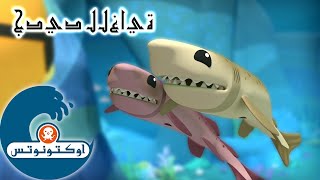 أوكتونوتس | أسماك قرش قالب الكعك | السلسلة 1 | الحلقة 39