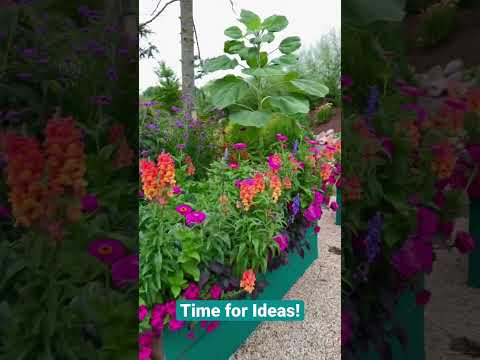 Video: Growing Flowers For Love – Beste Blumen für einen romantischen Garten