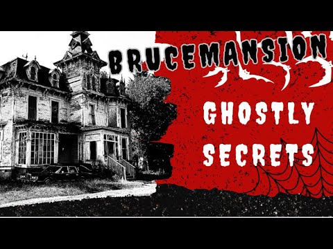 THE BRUCE MANSION #fypage #brucemansion #hauntedhouse