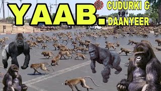 Yaab: Daanyeer oo lawareegay maagaalo Cudurka Dilaaga ah dadka degan Ka saaray.