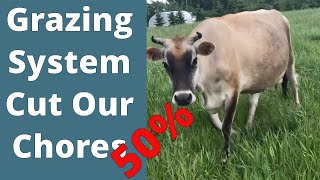 Permaculture Grazing System Cuts Chores 50%