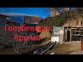 АНОНС - Я в Крыму у голубеводов Крыма !