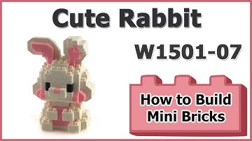 How to Build Mini Blocks Rabbit W1501-07 Review Instructions Specifications