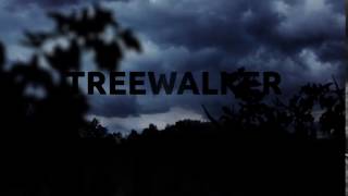 Celebrity TreeWalker Trailer v01 Wealth