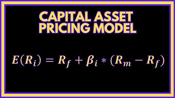 How to use the CAPM (CAPITAL ASSET PRICING MODEL) (Quick Guide) 💡 | Finance 101