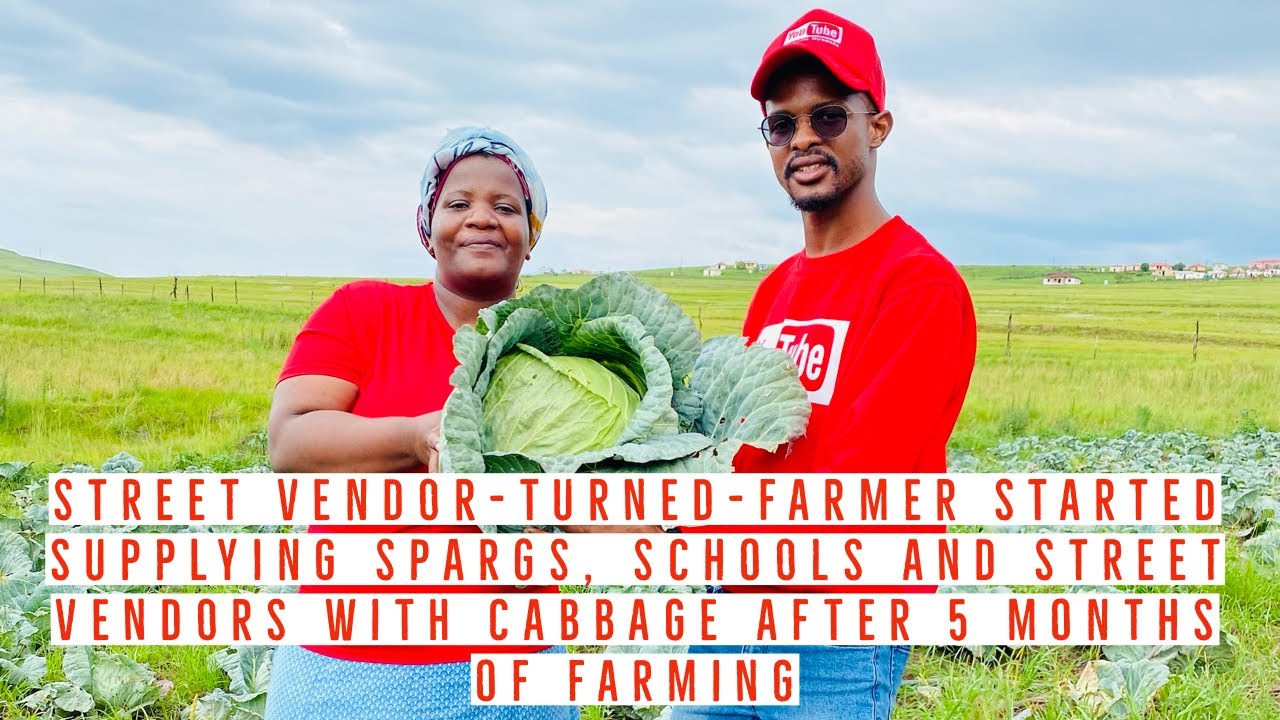 Vendor-turned-farmer Is Supplying SPARGS, Vendors & Local Schools With Cabbage Ft Nomfundo Siyotula