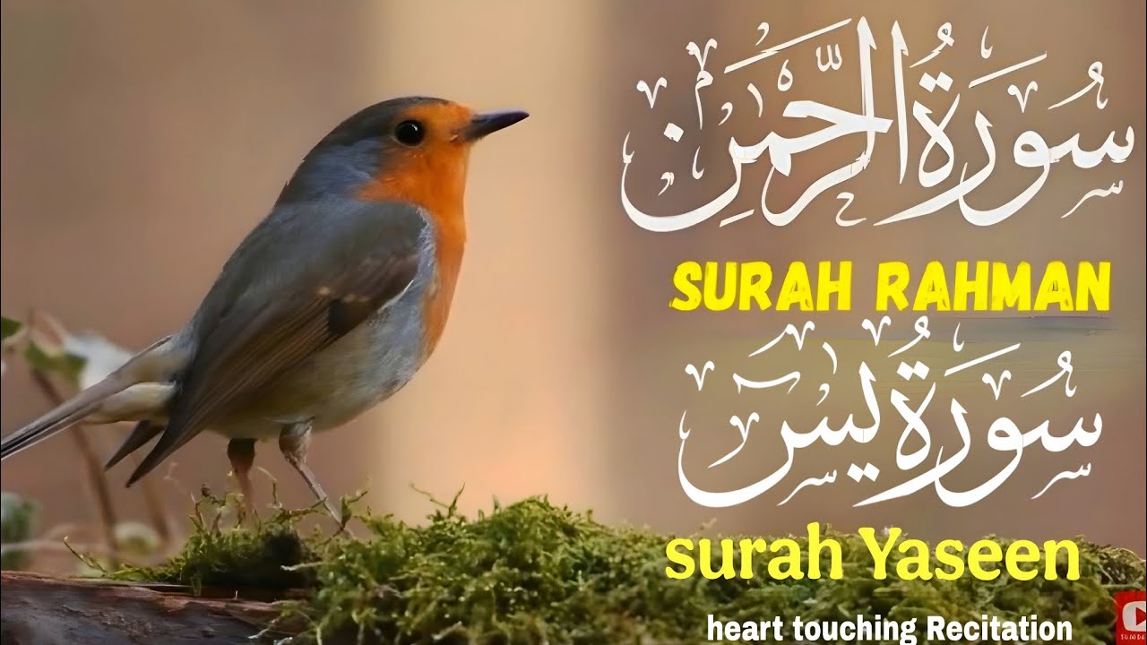 Surah Yasin & Surah Rahman Full | Beautiful Quran Recitation | Peaceful Tilawat