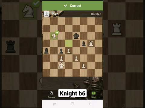 The Quinn Finite Leak: Unraveling The Puzzle