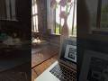 POV: Productive library routine in an old cottage|MacBook Setup+BaseQi✨