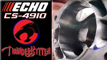 Echo CS 4910 ThunderKitten Port Work