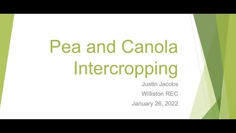 Introduction to Intercropping Workshop: Justin Jacobs and Lana Shaw