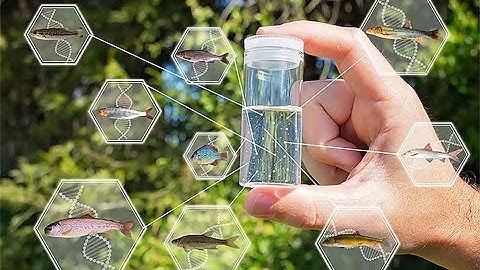 A Brief Introduction to eDNA