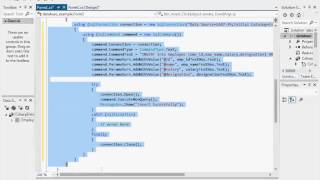Insert Query and delete data from database through binding navigator in C#
