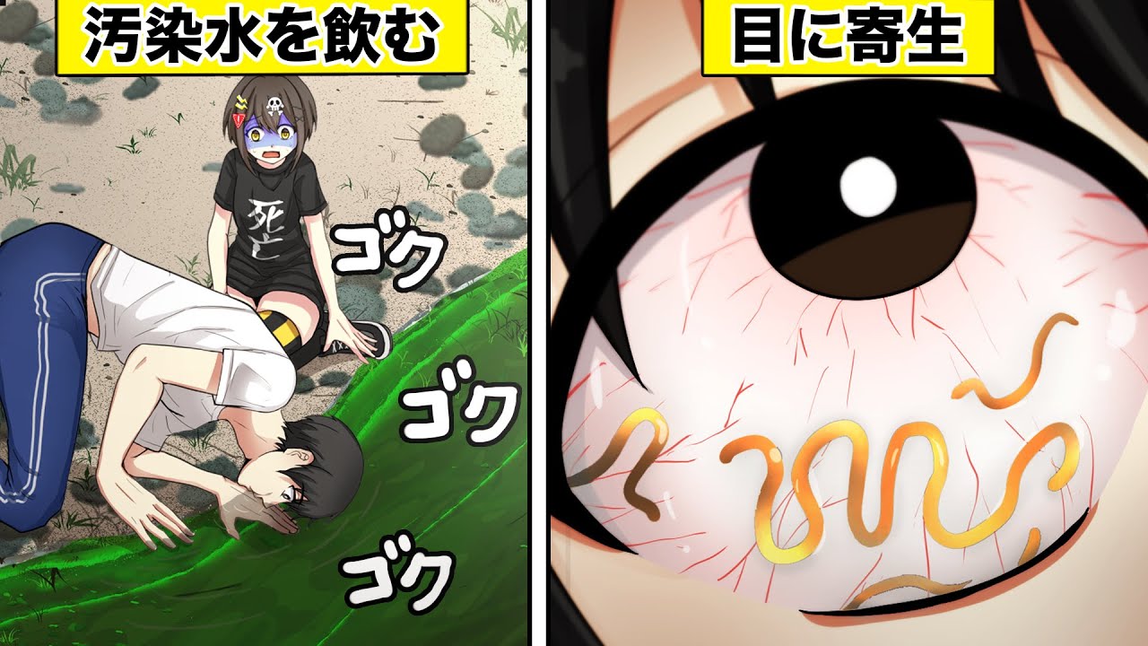 寄生虫が人間の体に入るとどうなるのか アニメ 漫画動画 Youtube