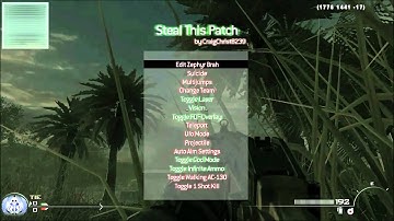 Steal This Patch | Mw2