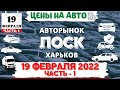 Авторынок ЛОСК 19 февраля 2022| Автобазар Харьков