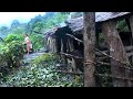 Family in the jungle || Season - 2 || Video - 83 || A family living in the cowshed in the forest ||