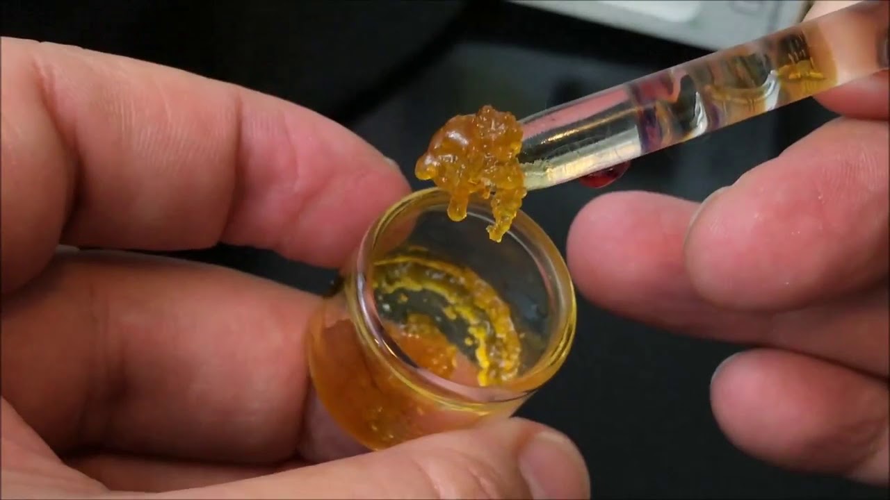 Recreational Cannabis Review of Animal Cookies Terp Sugar By Bodhi High Extracts eTCEXRLZRvc