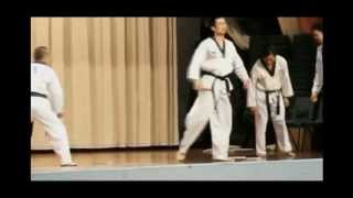 Taekwon - Do 3 Kicks In The Air