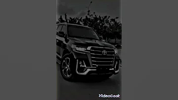 فكرين فلوسي بالهبل 