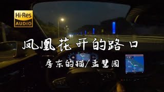《凤凰花开的路口Live》- 房东的猫/孟慧圆  沃尔沃S60 哈曼卡顿