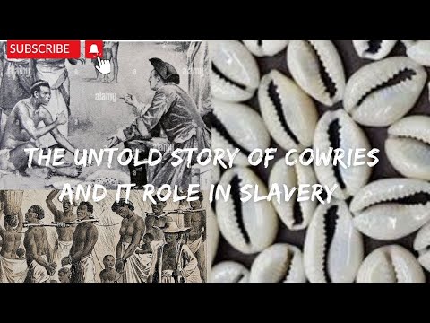 THE UNTOLD STORY
