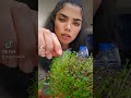 Si las plantas hablaran te dijeran eso