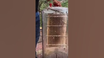 Loving this clear honey extractor #ytshorts #bee #honeycomb #trending #ytshort #shorts