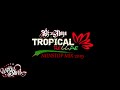 Dj noya tropical reggae nonstop mix 2019