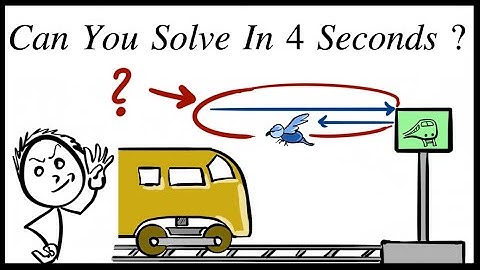 Hard train bird physics problem