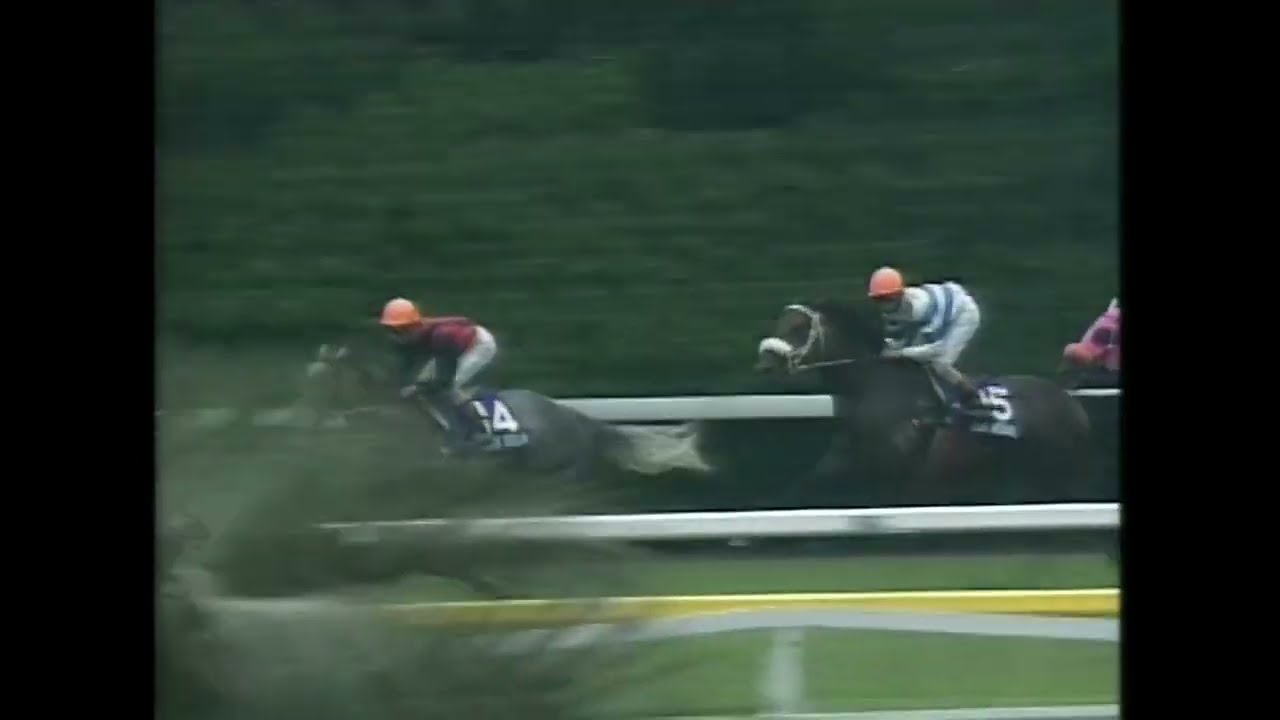 1997年安田記念 タイキブリザード - YouTube