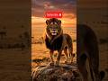 The Lion King | Lion King story #animals #wildlife #lion #shorts #viral