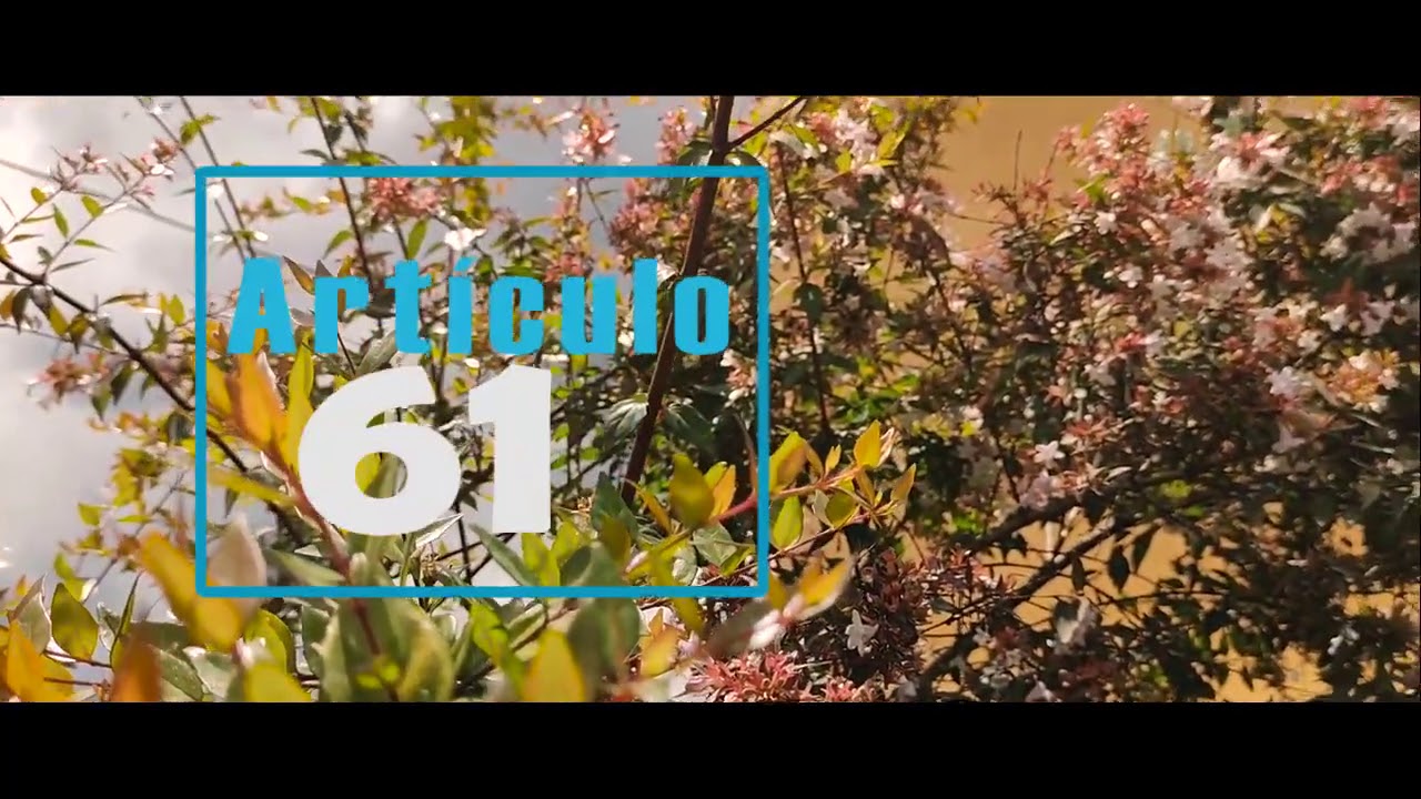 Artículos 61, 62, 63 de la Constitución Política de la República de