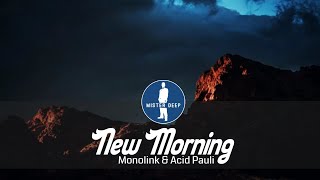 Monolink & Acid Pauli - New Morning [Deep House Music]
