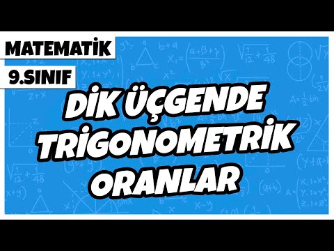 9. Sınıf Matematik - Dik Üçgende Trigonometrik Oranlar | 2022