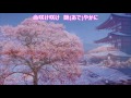 人生夢桜(原田悠里)♪♪ カバー