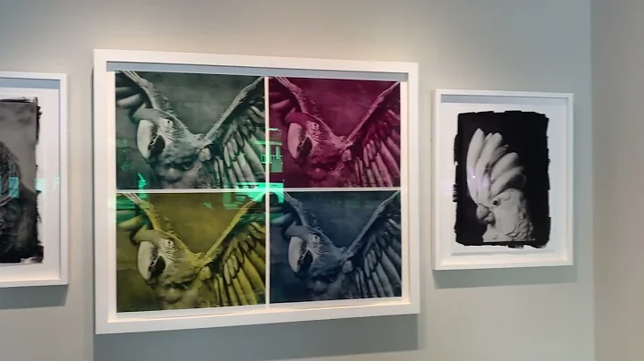 Christine Fitzgerald "Captive" Show Tour