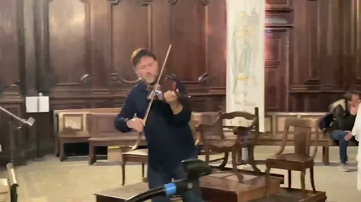 Afternoon of a Violinist