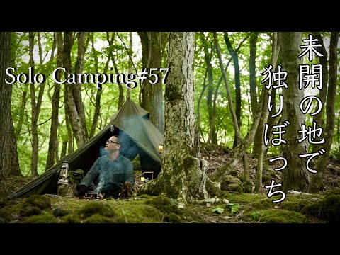 【ソロキャンプ】樹海のブッシュで独りきりの2日間/Two days alone in the bush of Jukai【ソロティピー1tc】#キャンプアカイケ