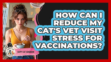 How Can I Reduce My Cat