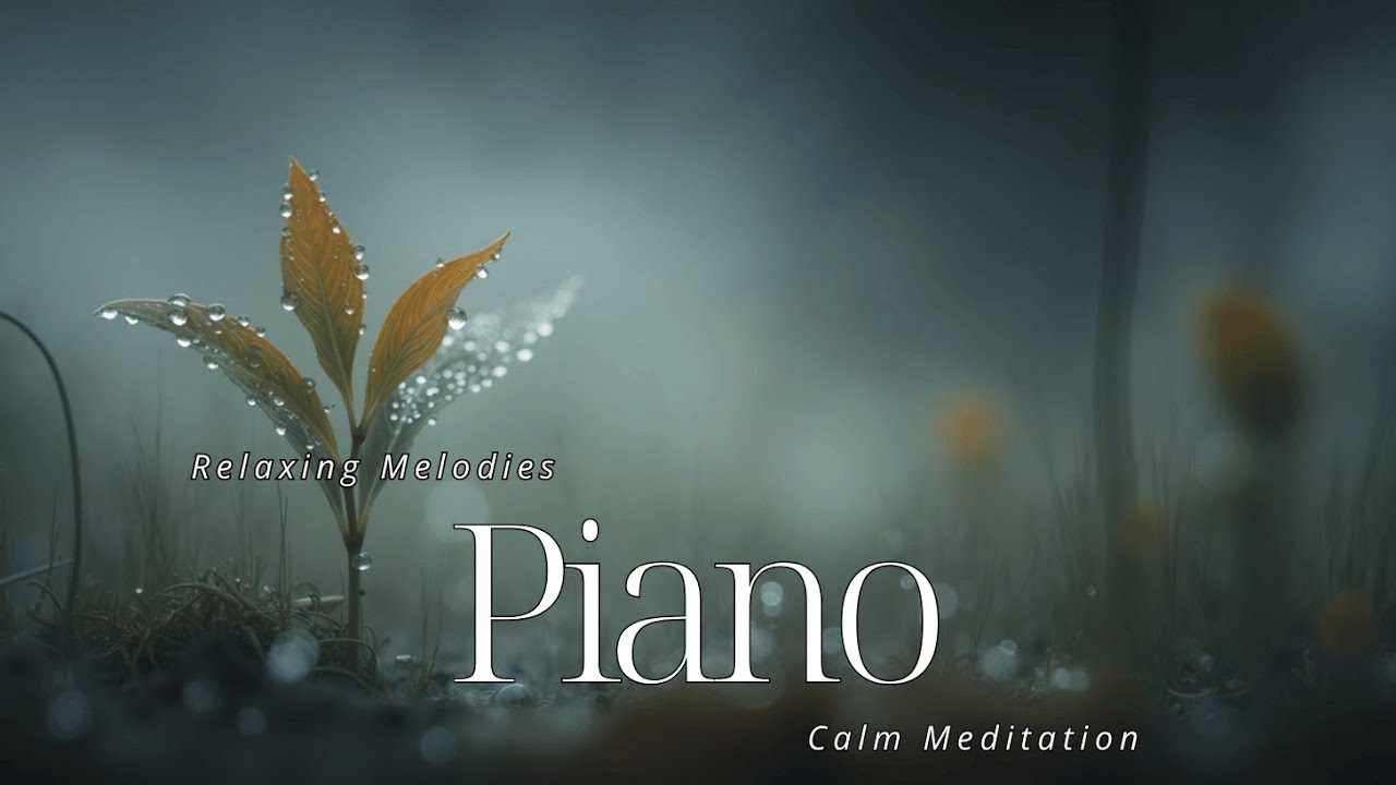 Soothing Piano for Deep Sleep Relaxing Melodies for Calm Meditation ...